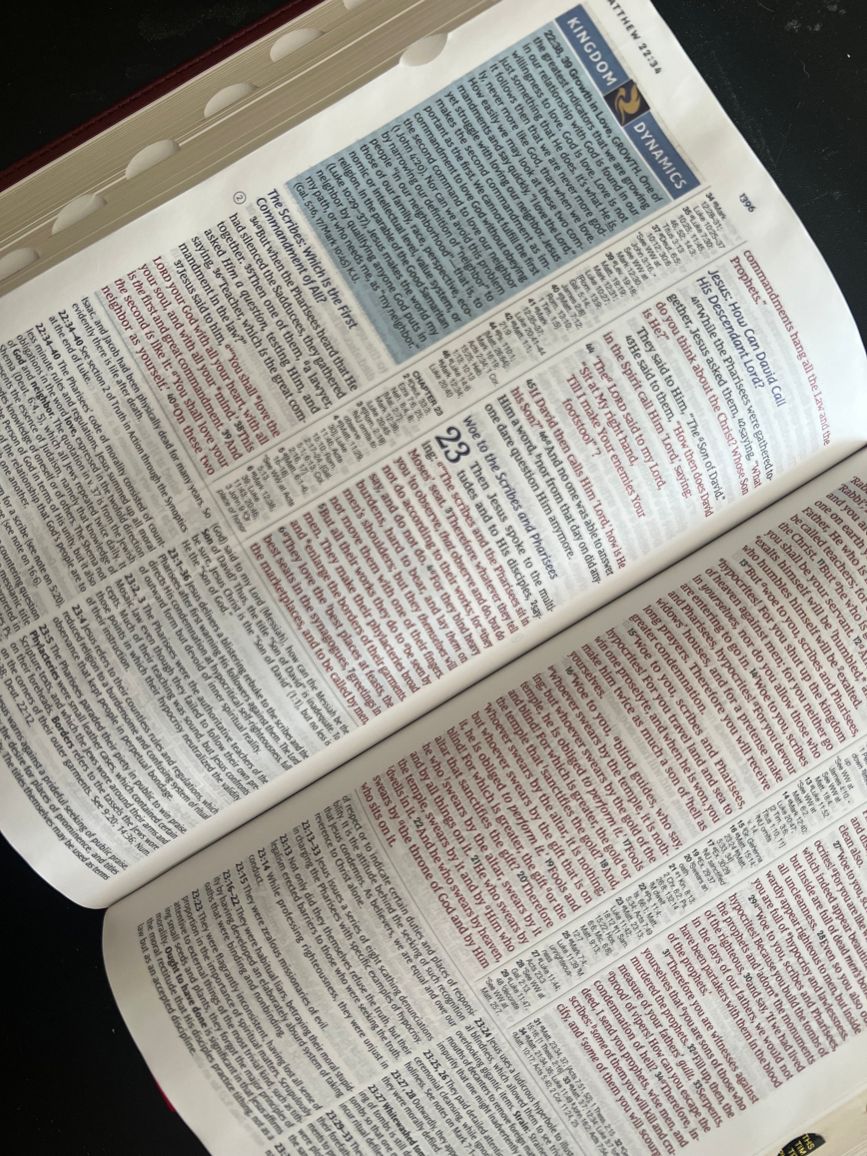 Study Bibles