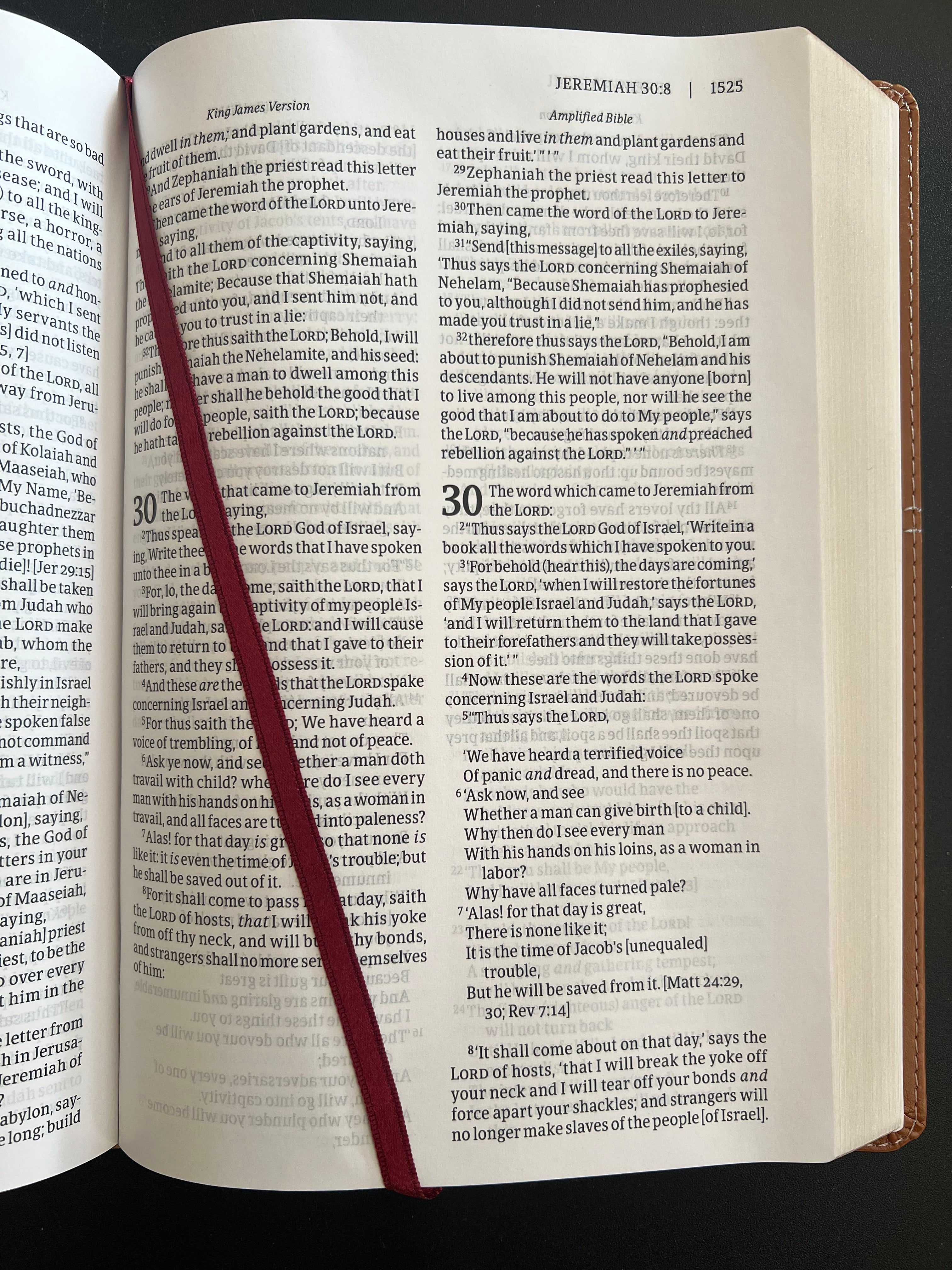 KJV-AMP Parallel Bible: Two Bible Versions Together for Study and Comparison (Large Print)