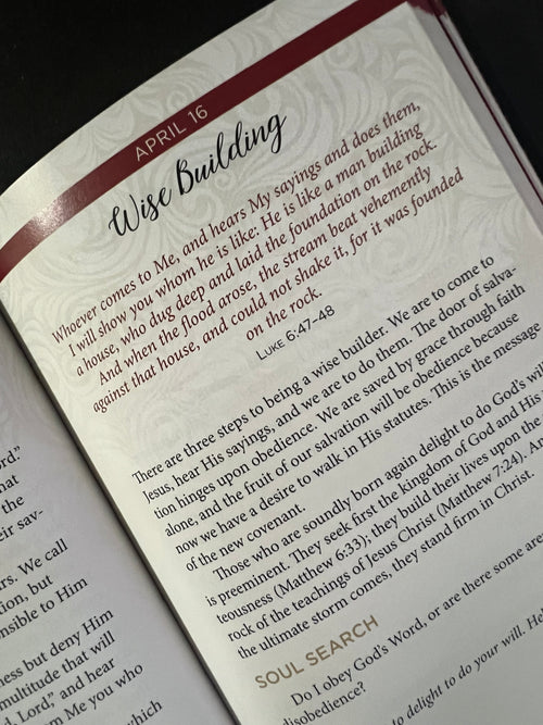 Jesus In Red: 365 Meditations on the Words of Jesus