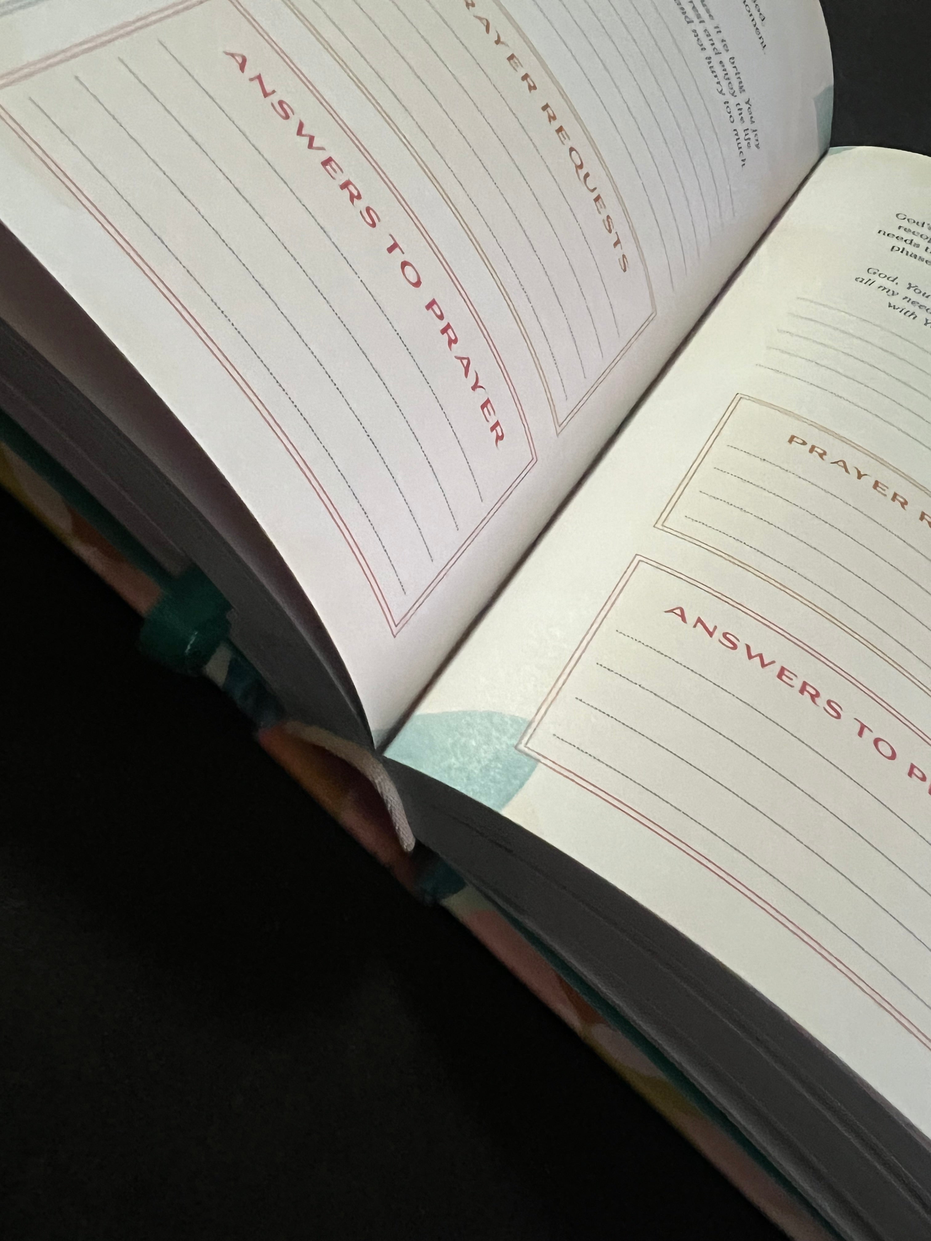 A Year of God's Goodness: A Prayer and Praise Tracker for Women