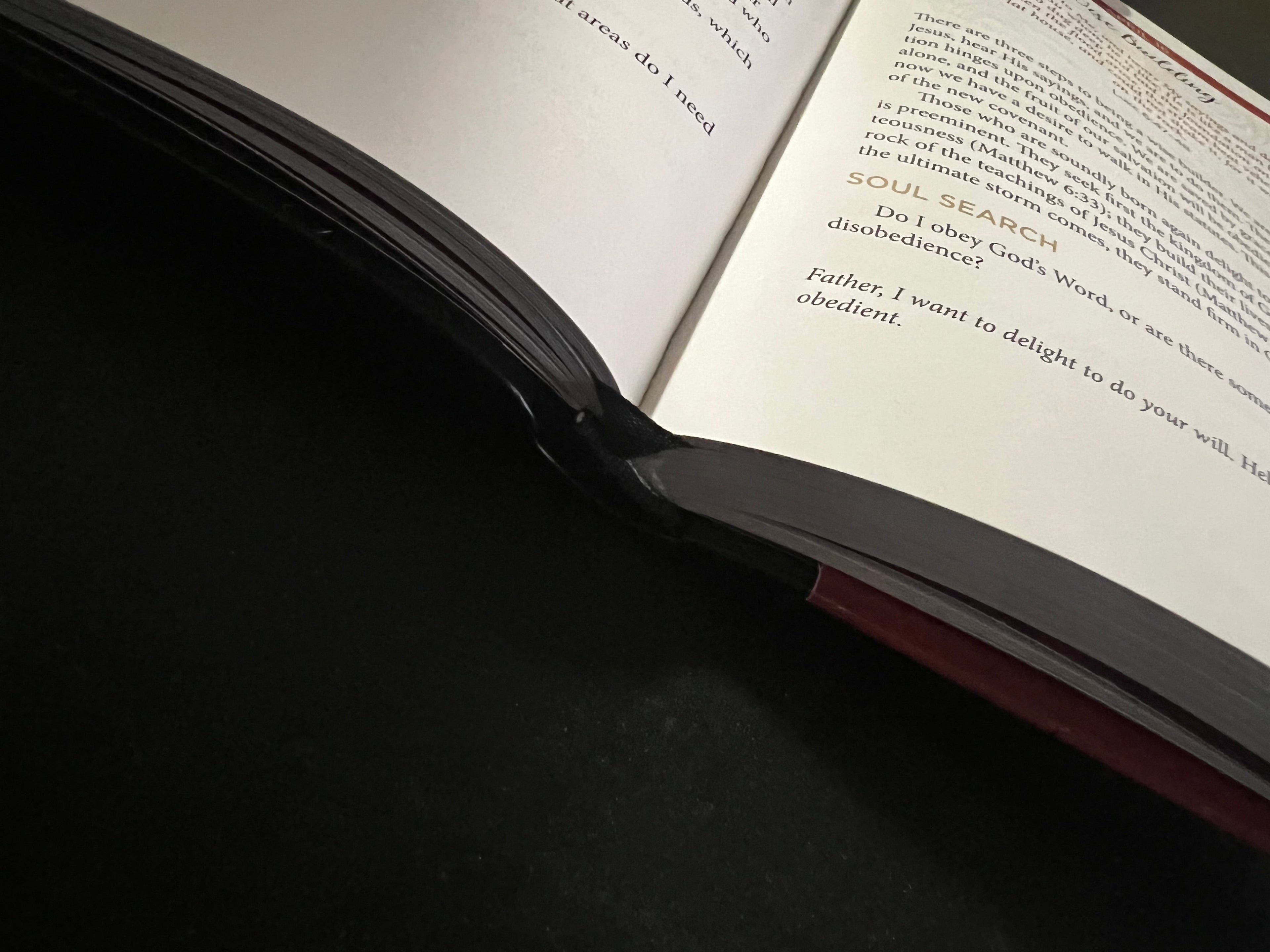 Jesus In Red: 365 Meditations on the Words of Jesus