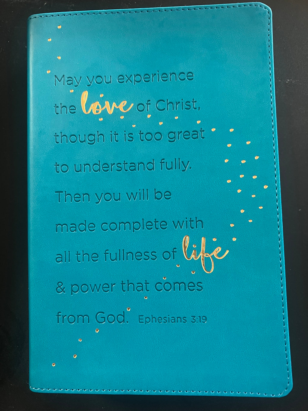 Teen Life Application Study Bible (NLT)