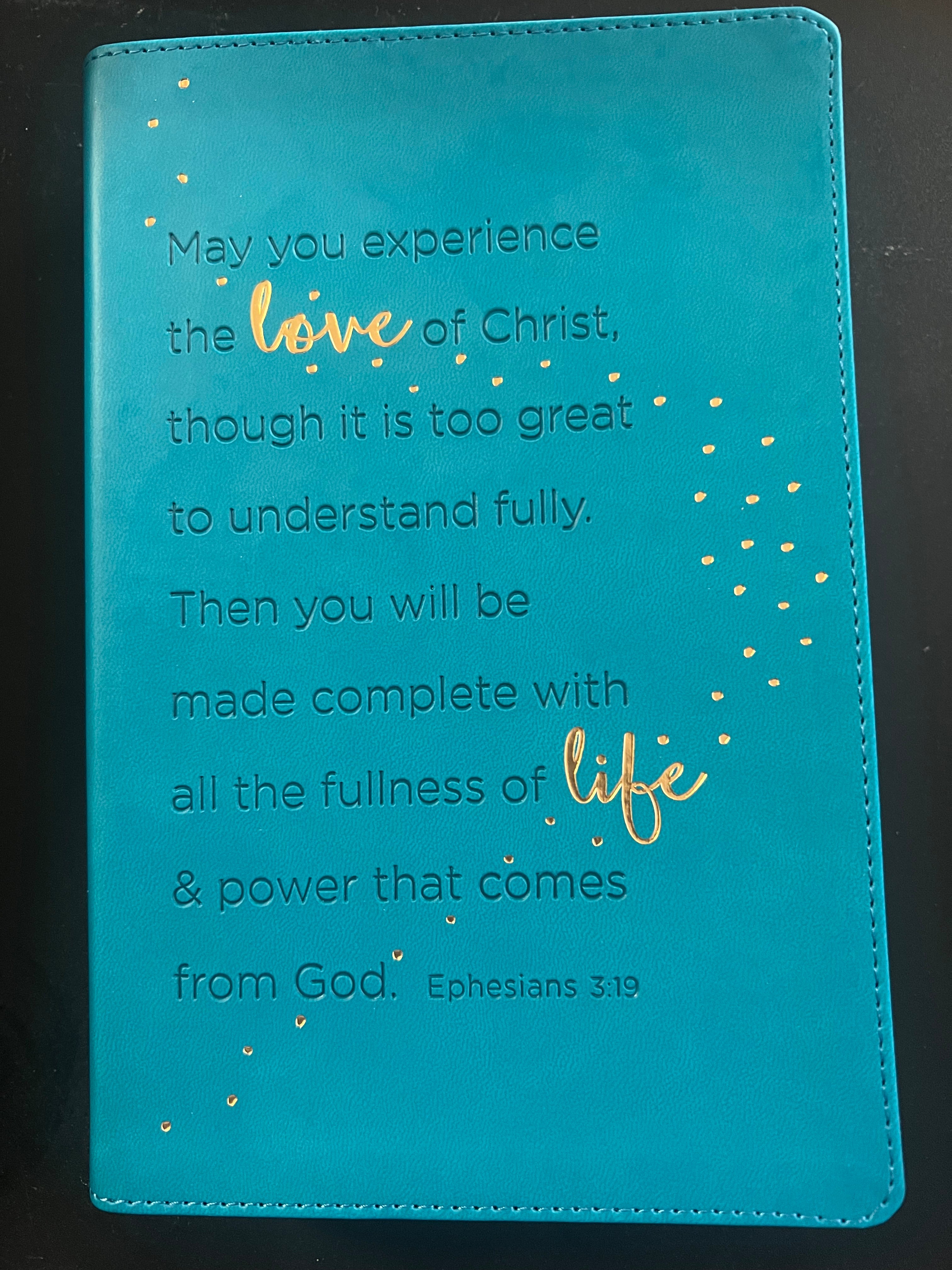 Teen Life Application Study Bible (NLT)