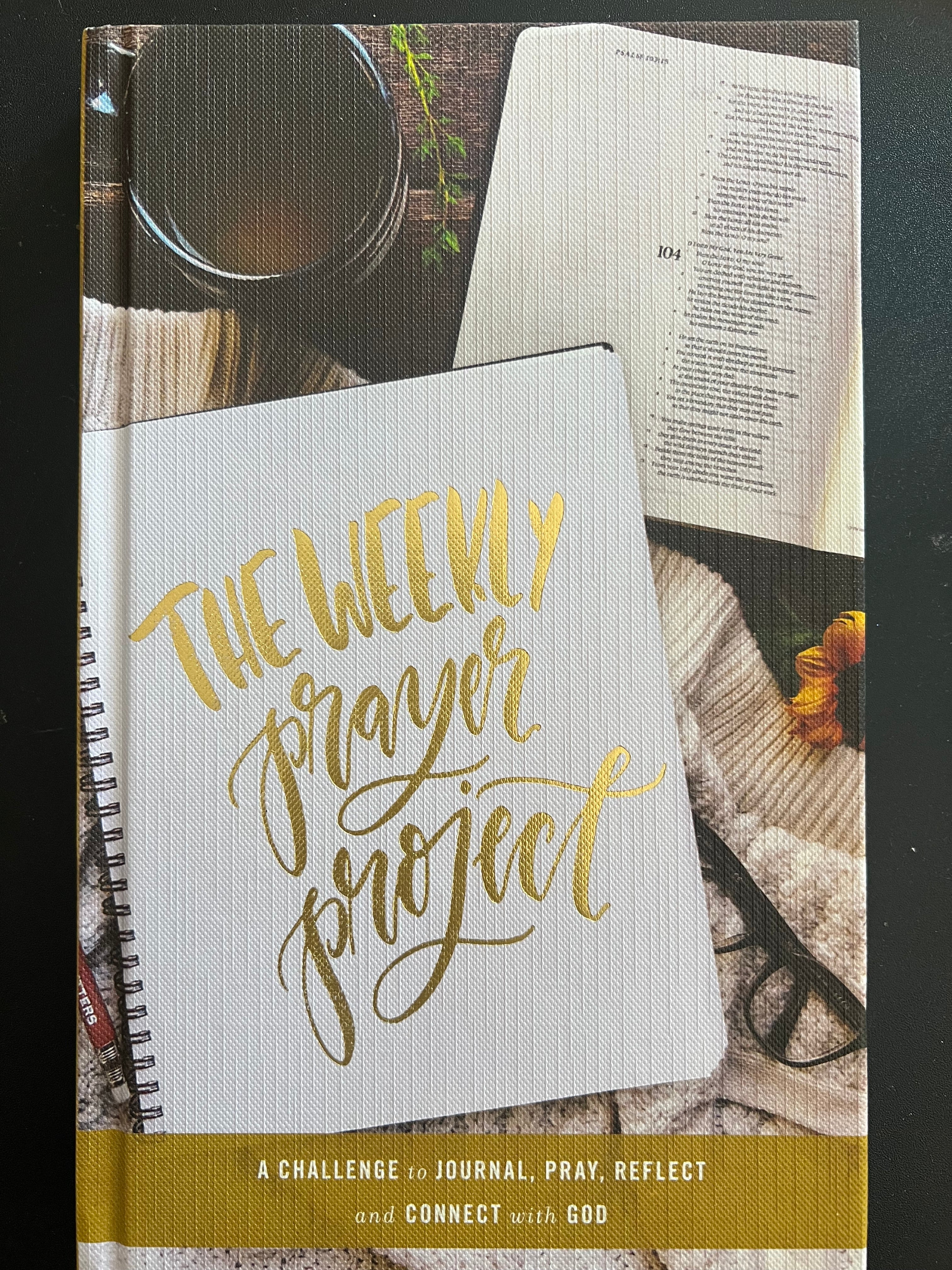 The Weekly Prayer Project: A Challenge to Journal, Pray, Reflect, and Connect with God (The Weekly Project)