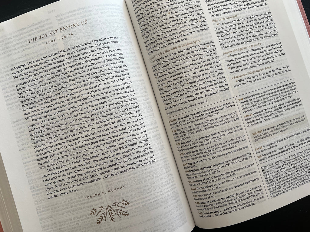 ESV Women's Study Bible (Trutone, Blush Rose, Floral Bloom Design)