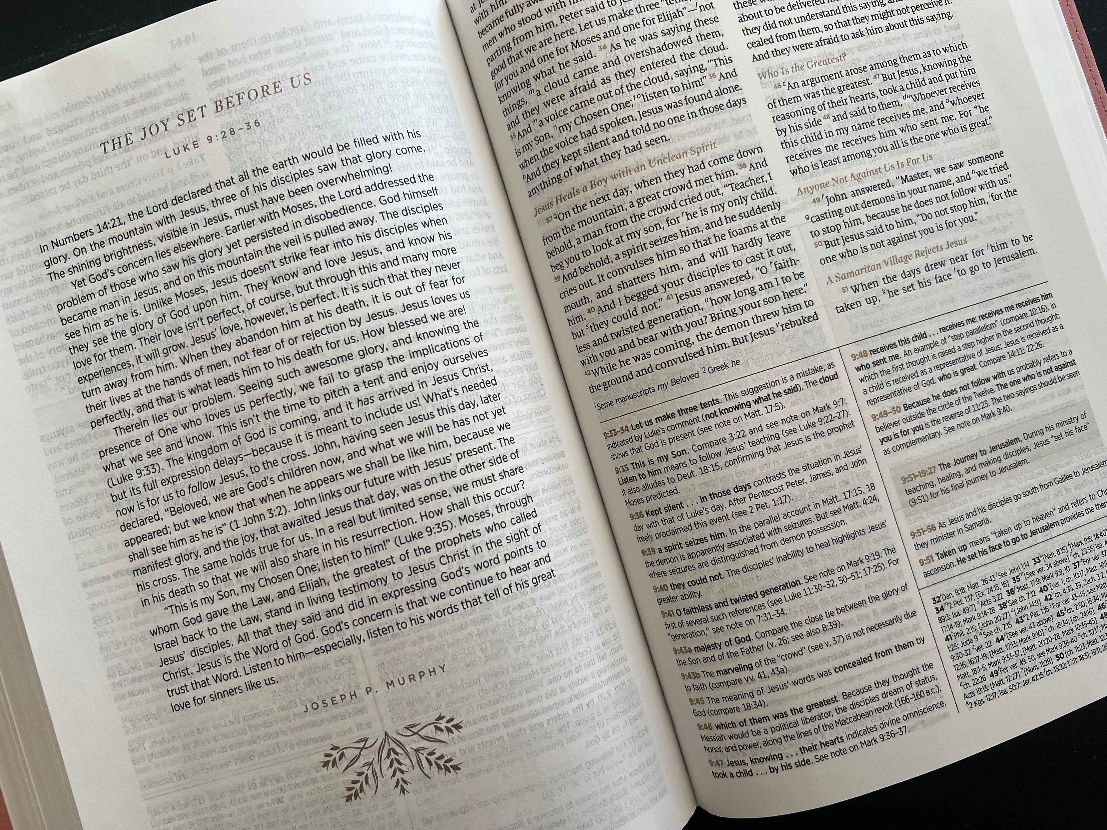 ESV Women's Study Bible (Trutone, Blush Rose, Floral Bloom Design)