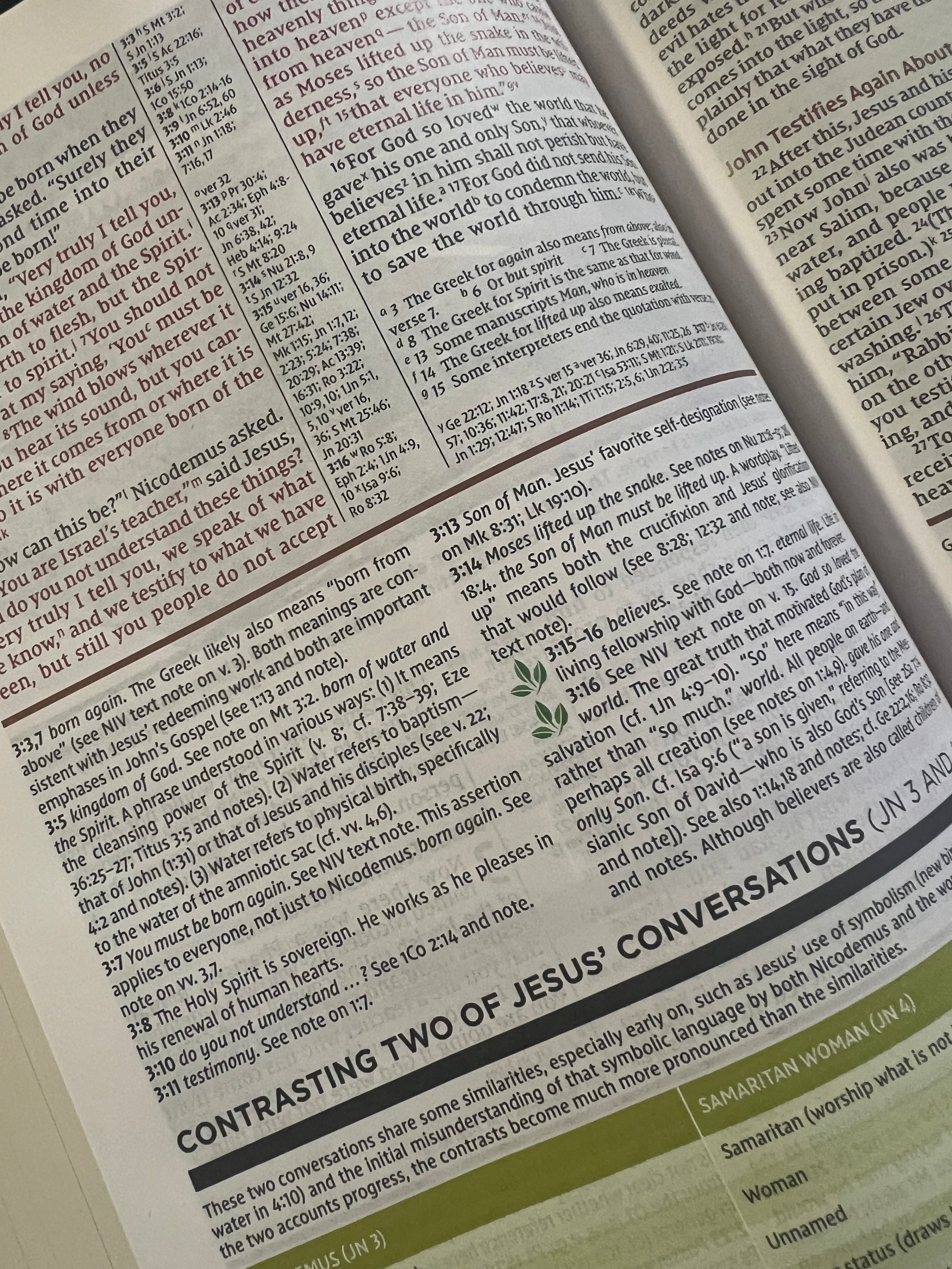 NIV Study Bible, Fully Revised Edition
