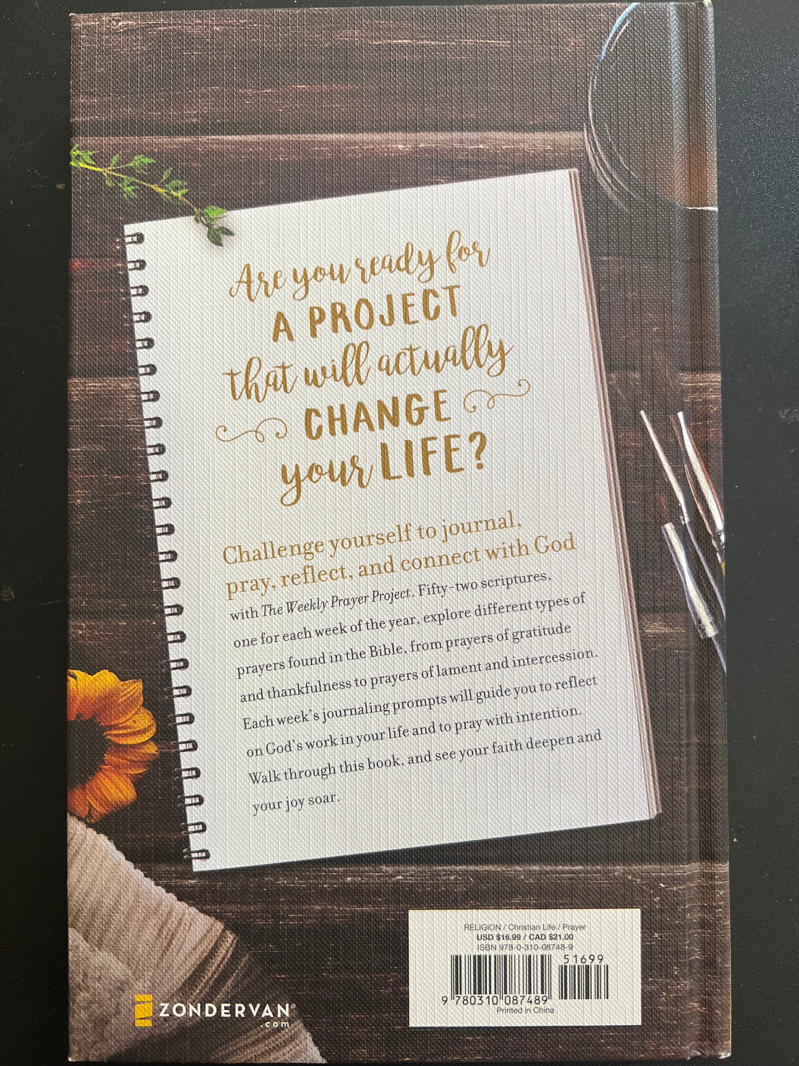 The Weekly Prayer Project: A Challenge to Journal, Pray, Reflect, and Connect with God (The Weekly Project)