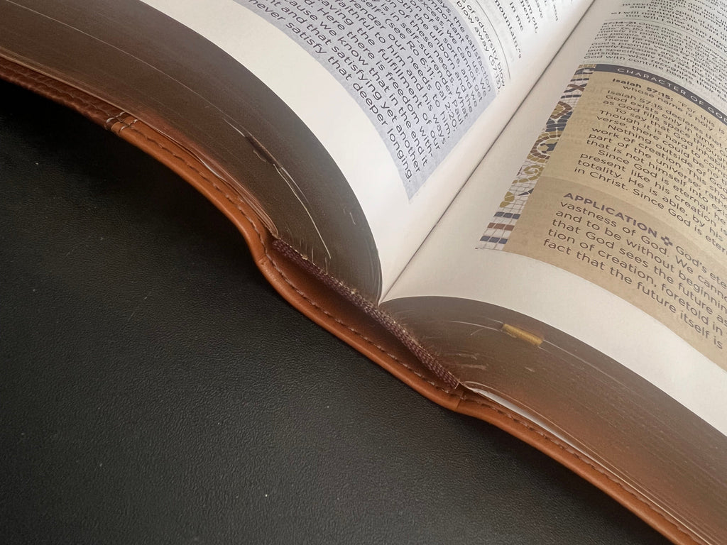 NIV Application Bible (Large Print)