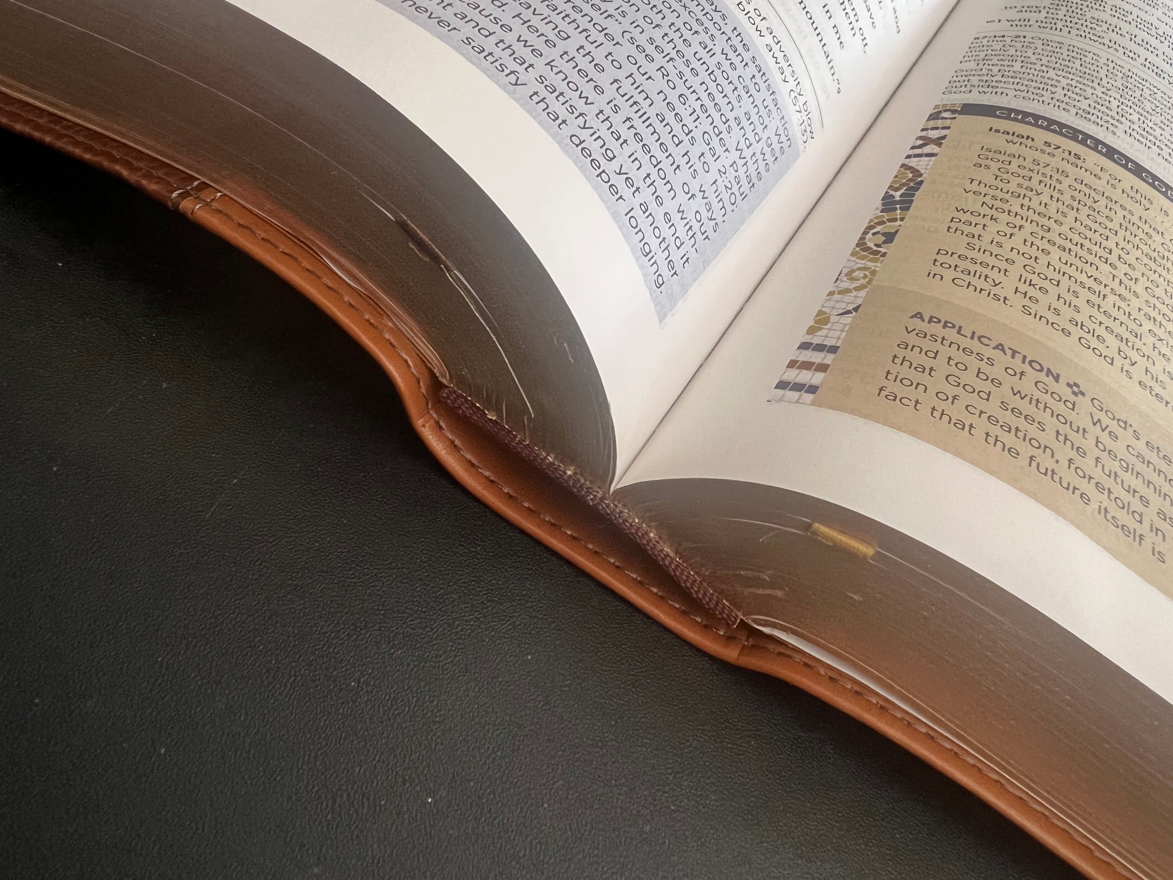 NIV Application Bible (Large Print)