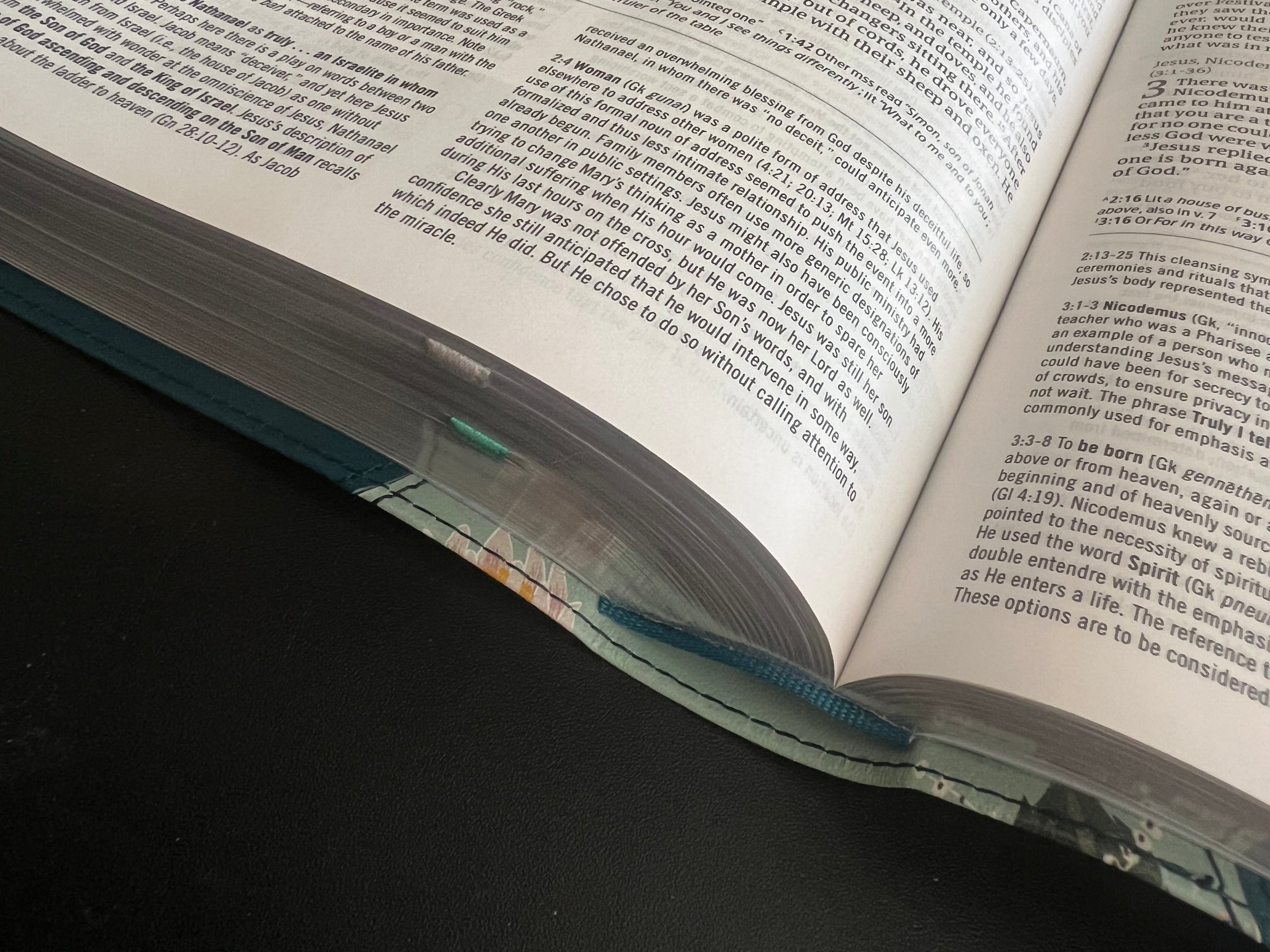 The Study Bible for Women (CSB)