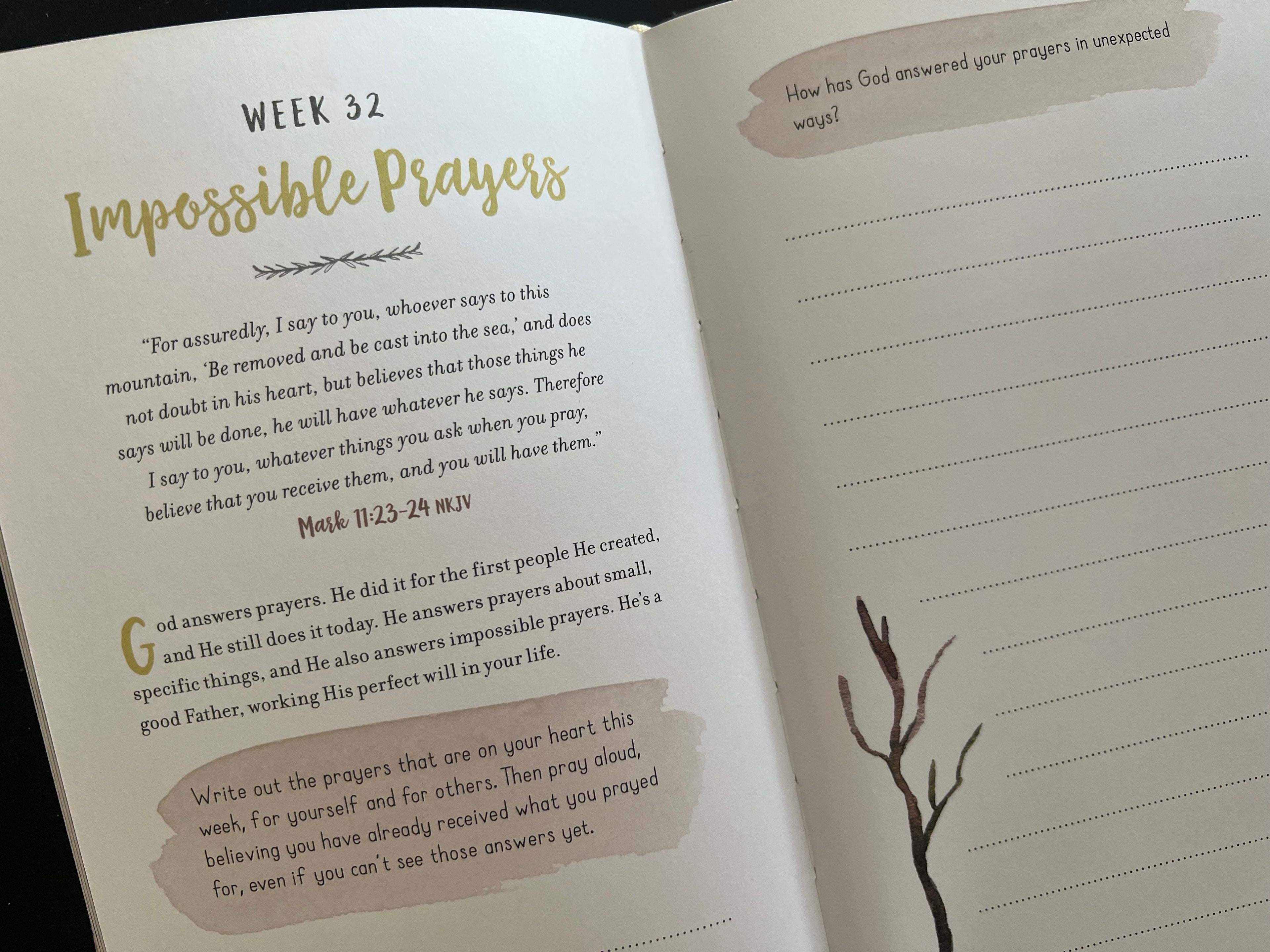 The Weekly Prayer Project: A Challenge to Journal, Pray, Reflect, and Connect with God (The Weekly Project)