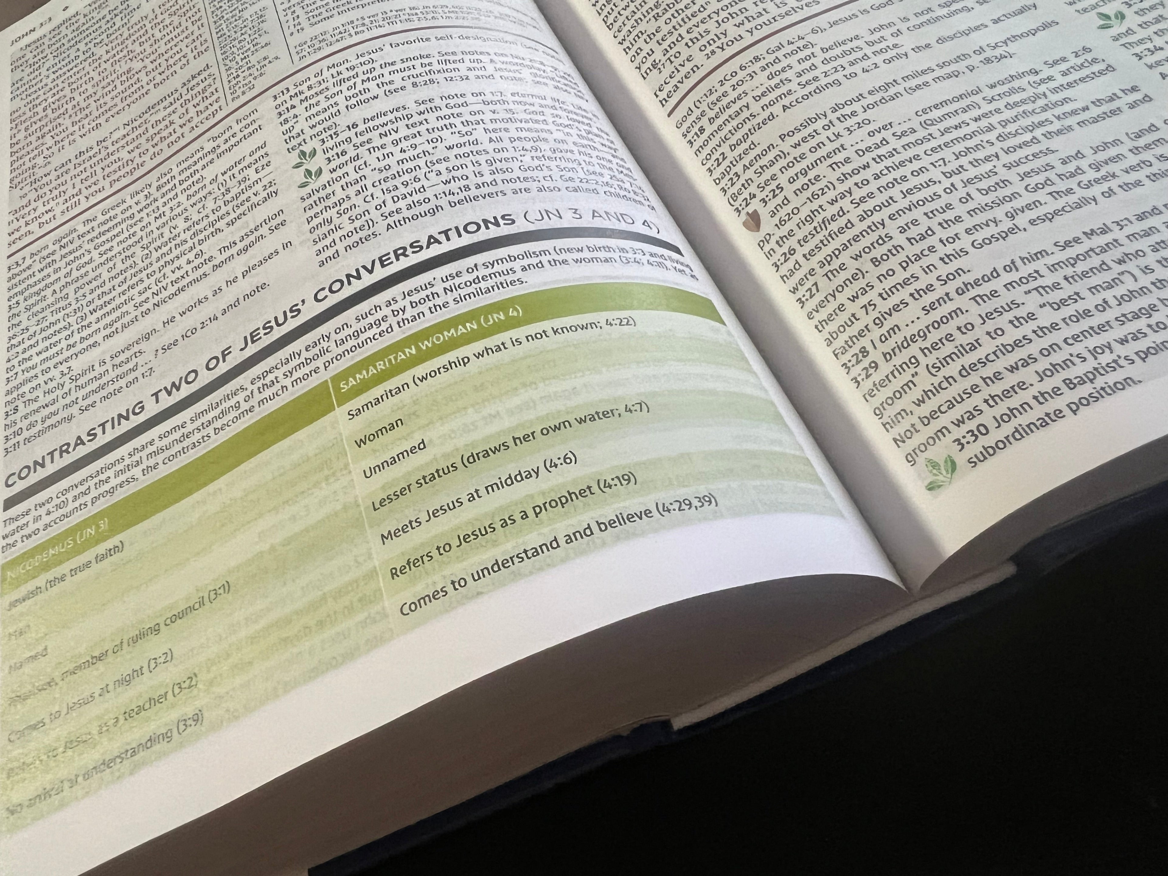 NIV Study Bible, Fully Revised Edition