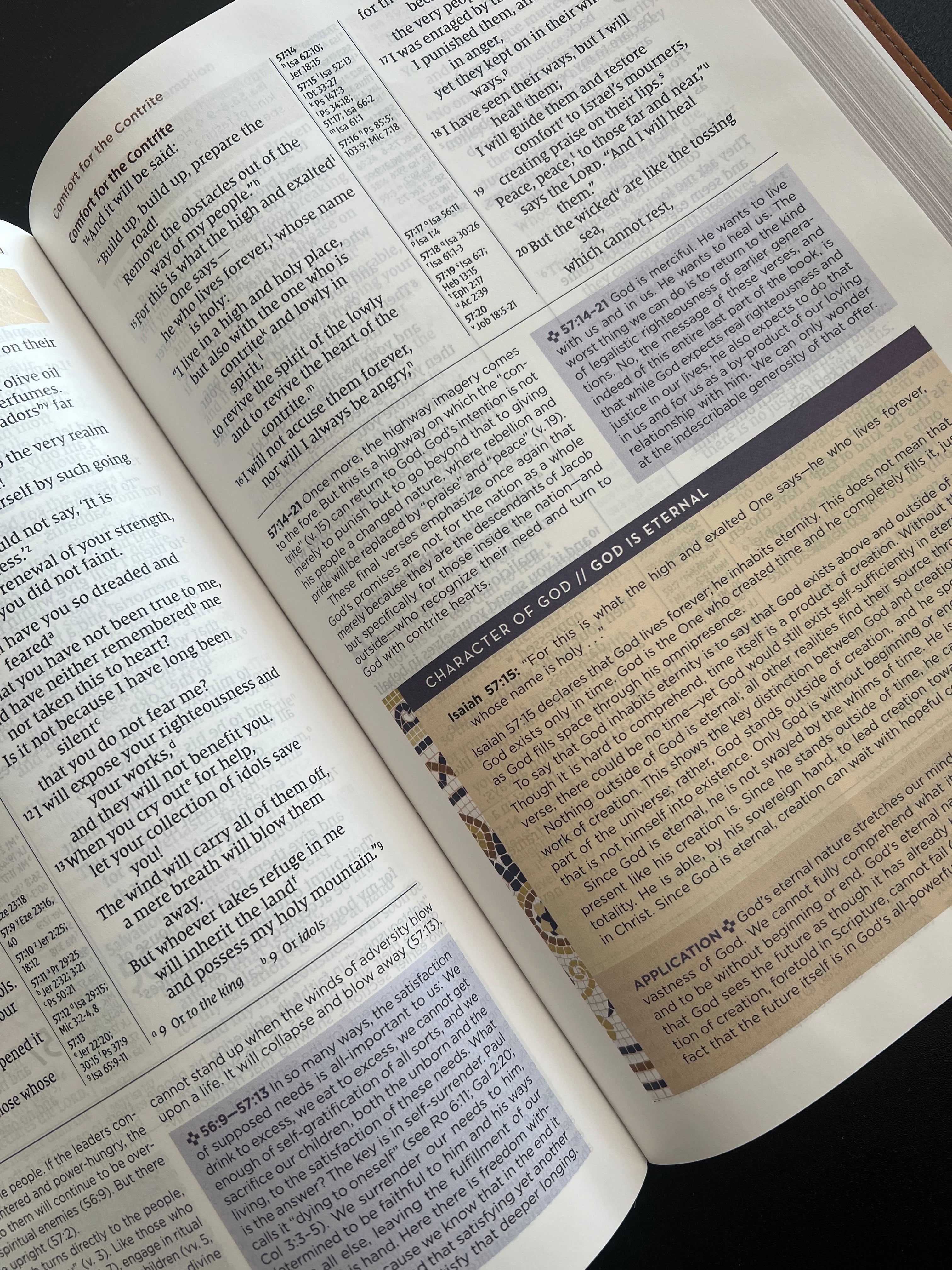 NIV Application Bible (Large Print)