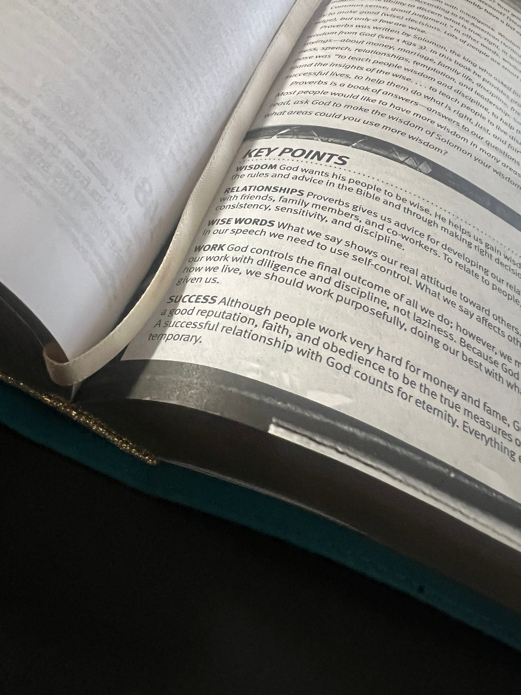 Teen Life Application Study Bible (NLT)
