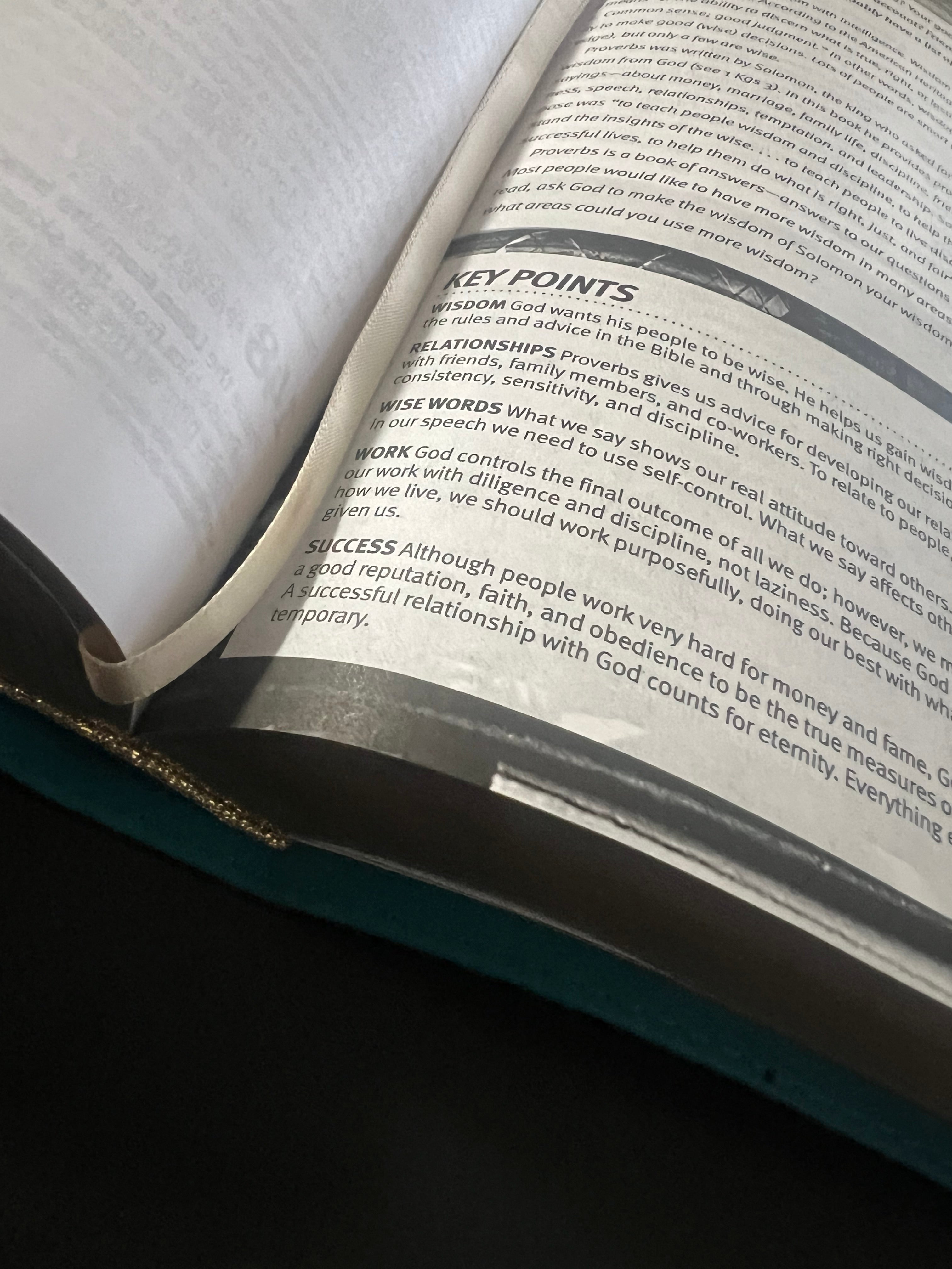 Teen Life Application Study Bible (NLT)